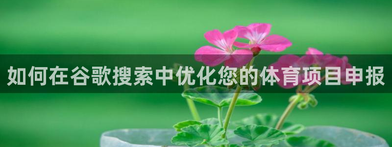 星欧娱乐公司简介