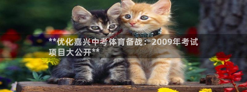 星欧娱乐属于什么档次的软件