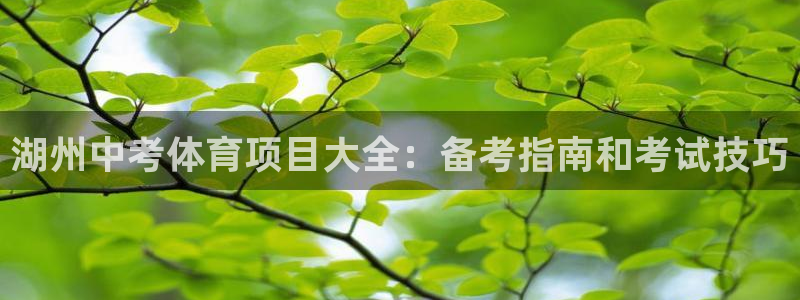 星欧娱乐最建议买的三个产品有哪些内容