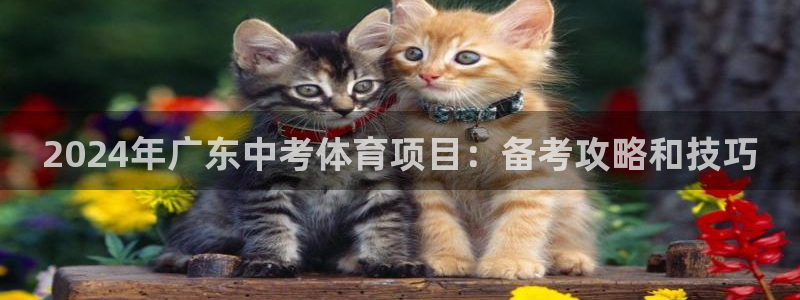 星欧娱乐平台怎么样可靠吗安全吗