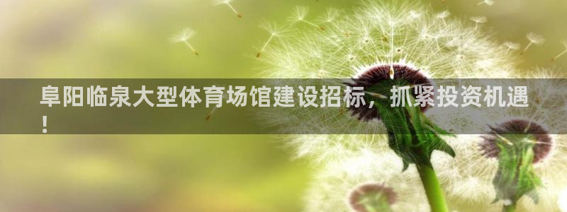 星澳娱乐公司简介
