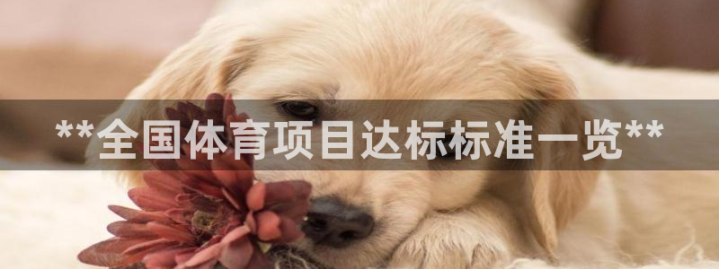 星娱乐online创作的原声