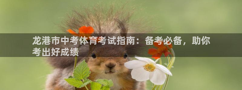 星欧娱乐和嫲薇他的区别是什么