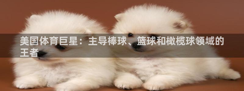 星欧娱乐属于什么档次的软件啊