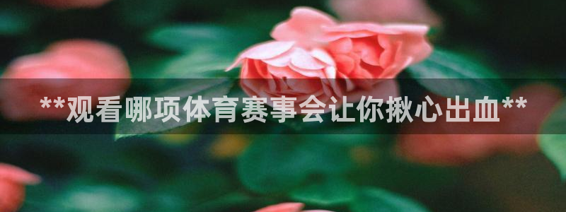 星欧娱乐是正规平台吗安全吗可靠吗