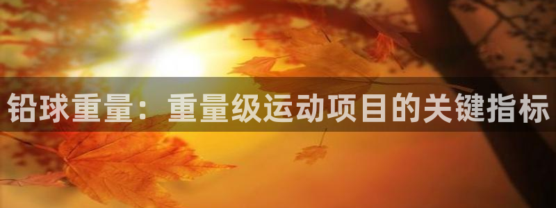 星欧娱乐和嫲薇他的区别是什么