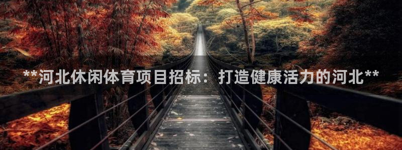 星欧娱乐的创始人背景故事简介
