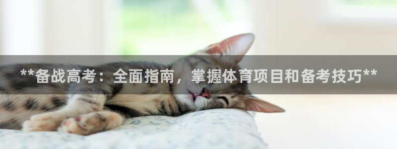 江苏星奥娱乐招艺人