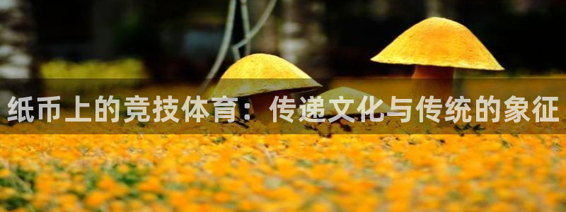 星欧娱乐信存手机版下载