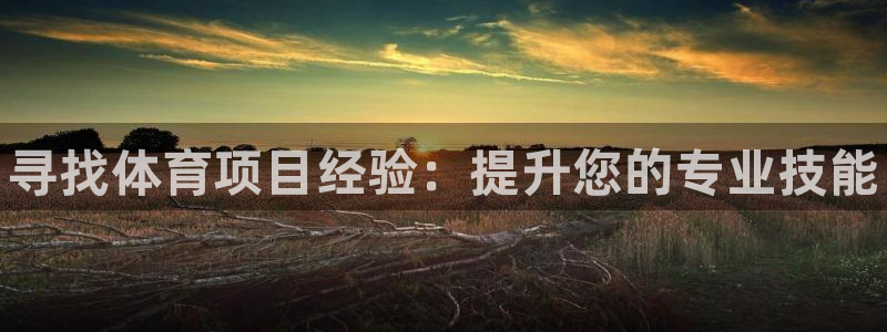 星奥娱乐集团股份有限公司怎么样