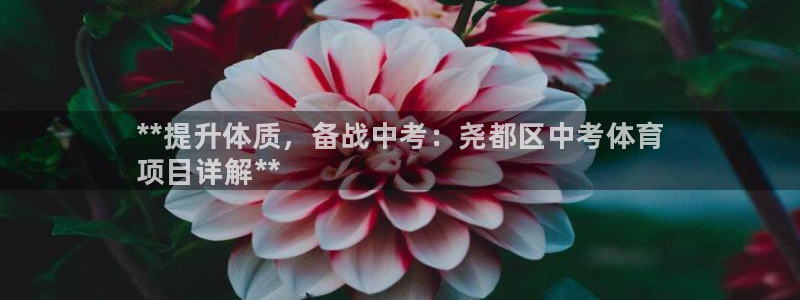 星娱乐online创作的原声