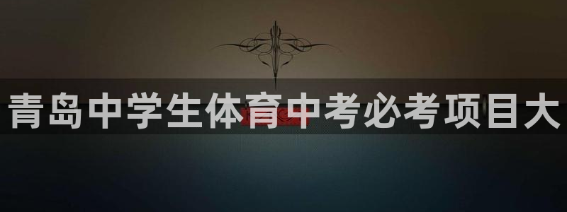 星欧娱乐平台测速线路设置