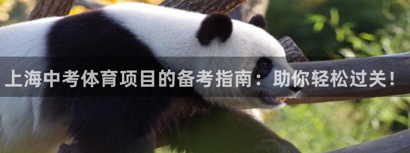 星欧娱乐的官方版本更新内容