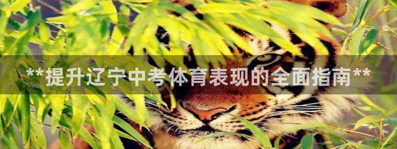 星欧娱乐工711.11是正规的吗