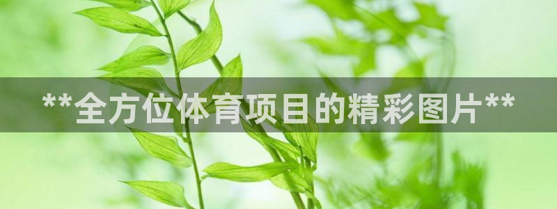 星欧娱乐扣费处理方法