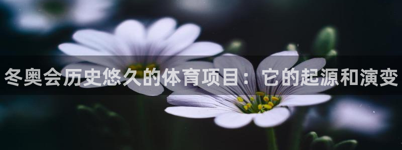 星游娱乐下载地址