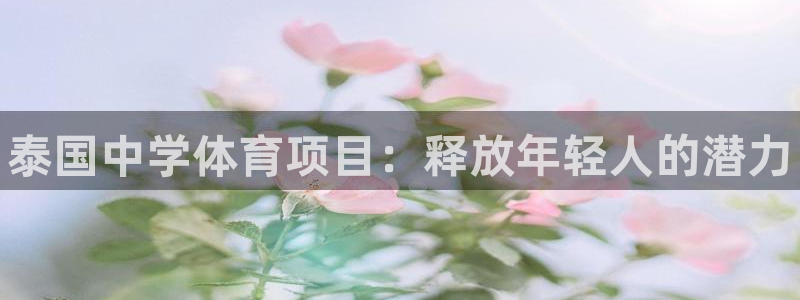 星欧娱乐是什么品牌