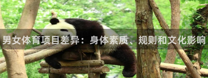 星欧娱乐官方客服联系方式