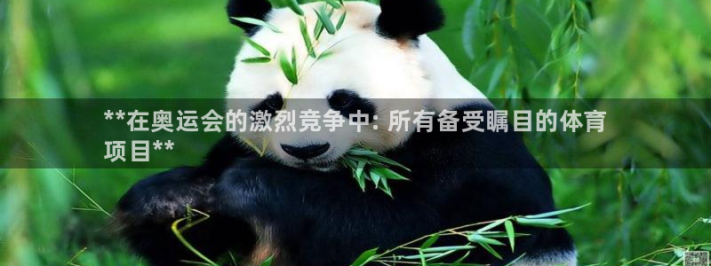 星欧娱乐扣款流程详解视频