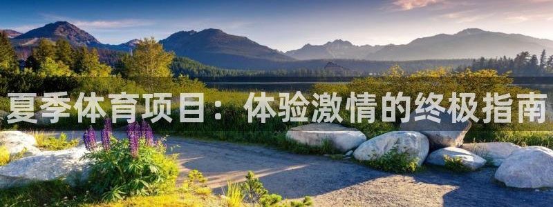 星奥娱乐集团官网